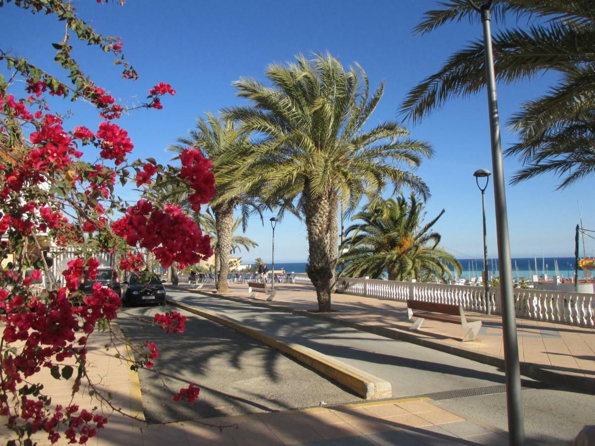 Playa Elisa Bay Apartment Pilar de la Horadada Luaran gambar